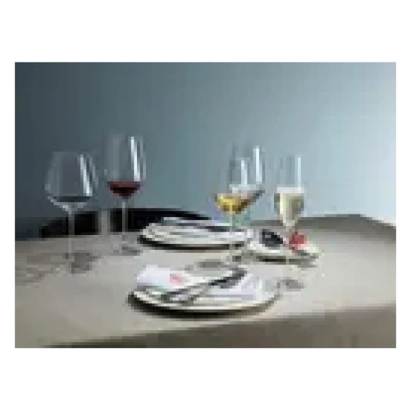 Schott Zwiesel Fortissimo Witte wijnglas-0-0.4Ltr-6 stuks - Afbeelding 4