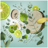 Maison Berger Aroma Wake-Up