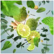 Maison Berger Aroma Travel