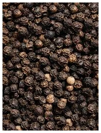 Peugeot Zwarte Peper Tan Hoi 7x20gram 1 Peugeot Zwarte Peper Tan Hoi 7x20gram