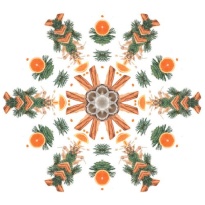 Maison Berger Cèdre du Liban