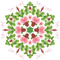 Maison Berger Esprit de Patchouli